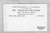 Sphaerulina gei image